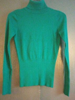 PINK ROSE Green  Turtleneck Size Medium Like New